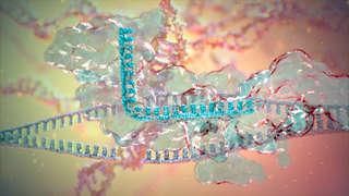 CRISPR technology for genome editing